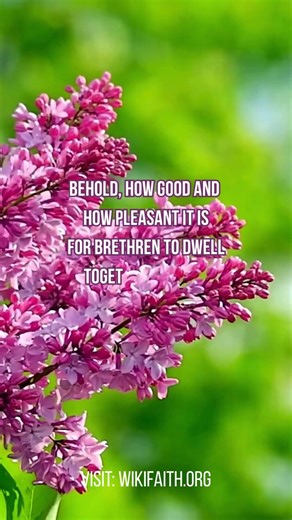“How Good and Pleasant Is Unity | Psalm 133:1”