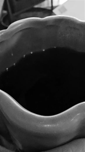 ❤️ . . . . . . . . . . #coffee #snapbenefits #foodstamps #coffeecup #doomscroll