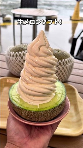 Ibaraki Gourmet [Melon Fair including all-you-can-eat melon buffet!] Pocket Farm Dokidoki Tsukuba...