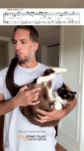 The cat has accepted its fate