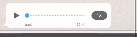 Voice Message Playback Controls Explained