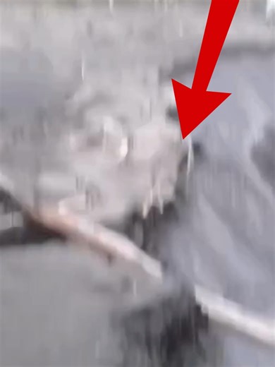 Lava flowed from the Semero volcano.GIANT Pyroclastic Flow from Semeru Volcano #aljazeera #aljazeeraenglish #aljazeeranewslive #volcano #extremeweather #indonesia