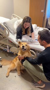 Spreading Smiles at Children's National Hospital! As a member of the Children's therapy dog program, Ellie works to provide comfort to patients and families, but today was extra special. A few weeks ago, we posted a wish list of gifts, and you were all so generous! Thank you to everyone who donated and helped so many children in their healing process. Children’s National Hospital #goldenretrieverlife #therapydog #smile #bffs | Ellie Golden Life
