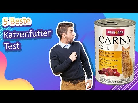5 Beste Katzenfutter Test