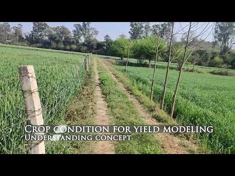 Selection of crop stage for yield modelling using remote sensing and GIS NDVI