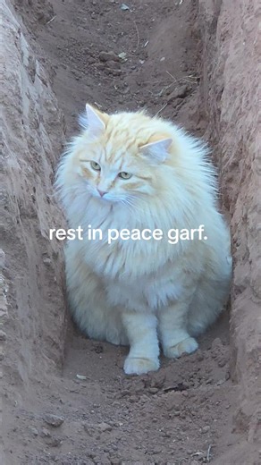 Emotional Goodbye: A Heartfelt Farewell Message