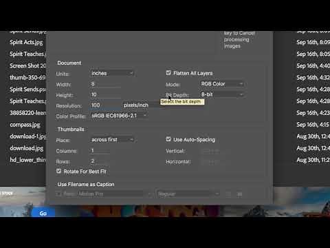 Creating and Printing Contact Sheets with Adobe Bridge
