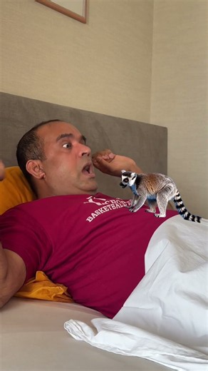 Angry Lemur Wake Up Is Totally Chaotic 😂 #shorts