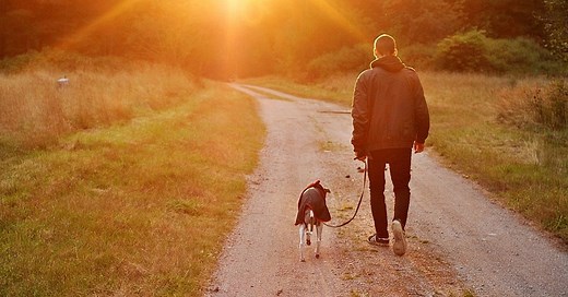 5 Jobs that are Easiest to Get for OFWS in Sweden - The Pinoy OFW