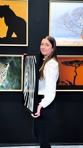 3.2K views · 180 reactions | On vous présente l'un de nos plus beaux portraits de Zèbre 煉✨ Ces rayures noires nous envoûtent, et vous ? #zebra #fineart #photography #wild #blackandwhite #print #art #kenya #wildlife #tiragephoto #explore #zebre | Alexandre & Chloé Bès | Facebook