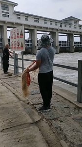 Catching Fish Using Cast Net Fishing / Net Catch Fishing 🐠🐠#Reels #fishing #skill #castnetfishing | Daily Discovery