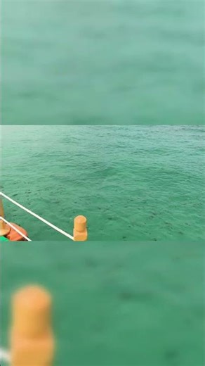 Phuket's secret paradise: Swim in water this clear! 🐠
