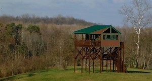 Are These Deer Hunting Stands Too Nice?