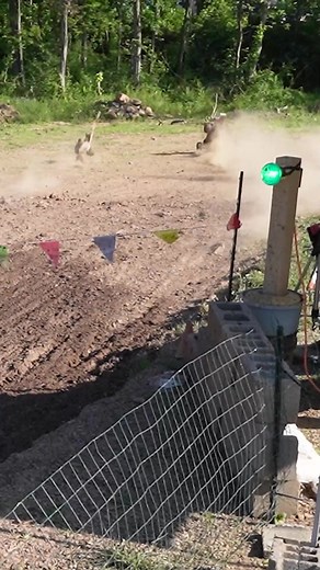 RC racing Arrma Kraton vs Traxxas Sledge #rc #rccar #dragrace #dragracing #traxxas #Arrma #Sledge #Kraton