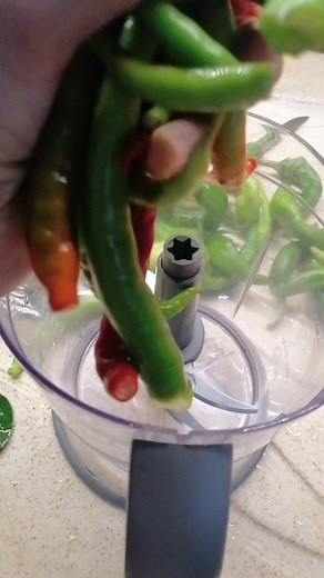 Delicious Vegetable Preparation Steps in a Food Processor