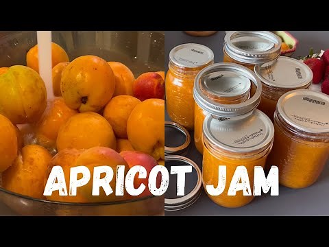 Apricot Jam - everyone’s favourite recipe, includes canning instructions