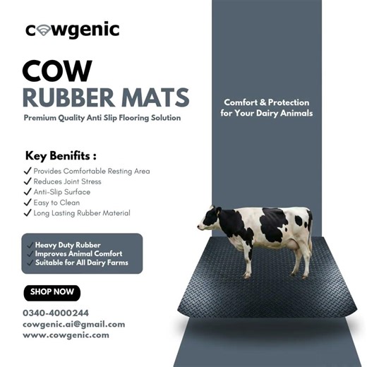Cow Rubber MatS