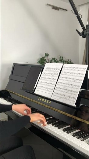 J. S. Bach - Prelude No. 1 in C Major (WTC Book 1). The Hidden Layers