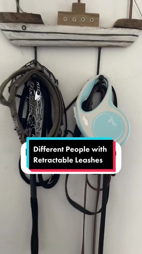 Dog Leash 2012 Movie: A Hilarious Take on Retractable Leashes