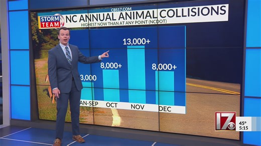 How to avoid hitting a deer during peak month of animal collisions