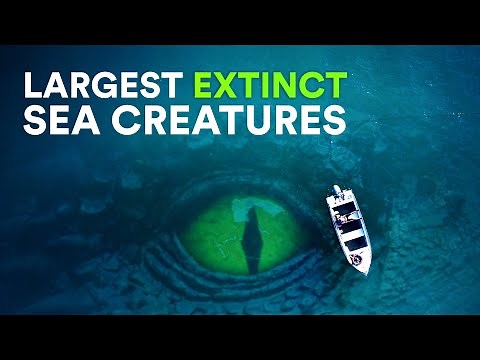 Largest EXTINCT Sea Creatures – Size comparison
