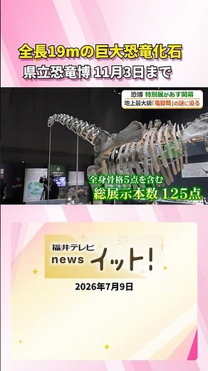 全長19ｍの巨大恐竜化石 福井県立恐竜博で特別展開幕