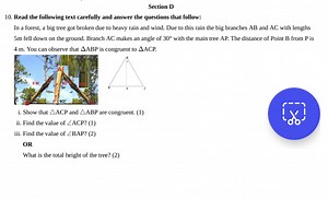 Section DRead the following text carefully and answer the ques... | Filo