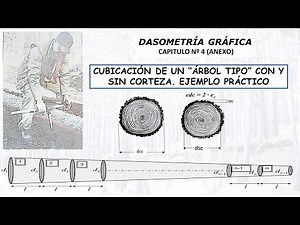CUBICACIÓN DE UN ÁRBOL TIPO