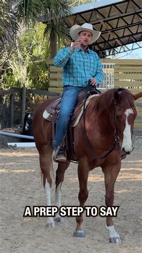I love how this turned out with my OTTB horse!