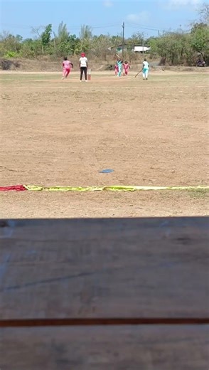 Gully Cricket Match | Live Commentary & Amazing Moments