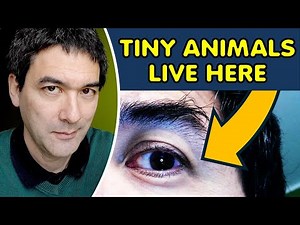 The Microscopic Animals That Live in Our Skin