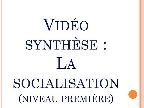 SES - Vidéo de synthèse du chapitre "La socialisation" (Première)
