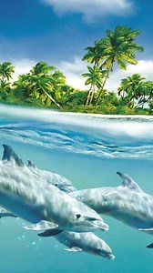iPhone and Android Dolphins Under Island Live Phone Wallpaper | DesktopHut