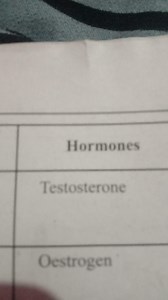 What are the functions of Testosterone and Oestrogen?... | Filo