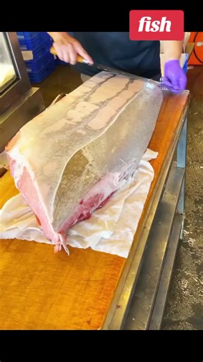 Mastering Fish Cutting Skills: Techniques and Tips