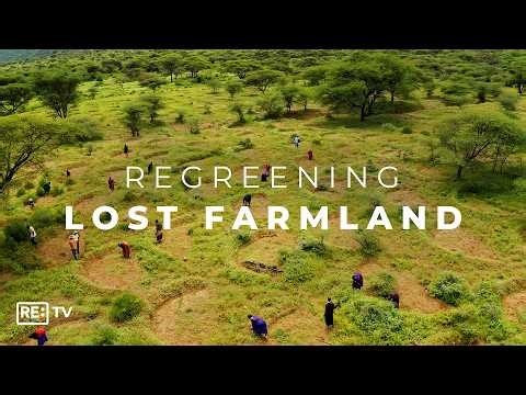 Justdiggit: Working With Farmers To Restore Healthy Ecosystems In Sub-Saharan Africa