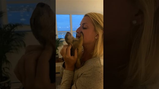 Back scratches are the favorite activity of this prairie dog