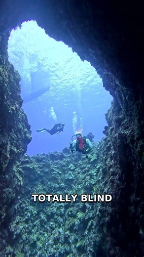 Unveiling Mammoth Cave's Secrets: A Journey into the Underground Labyrinth #Shorts