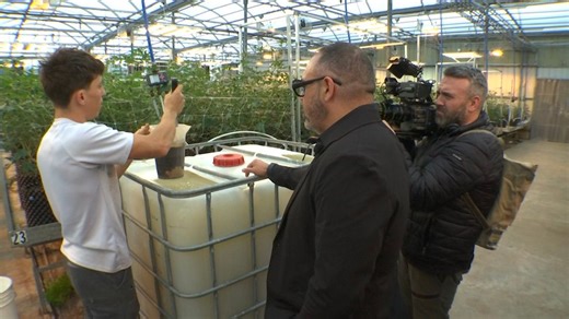 New York cannabis grower to be featured in upcoming reality series