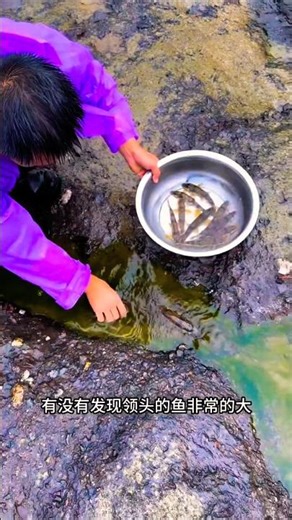 Amazing process of fishing in rock pool stream 🎣✌️🔥 | Outdoor fishing life #fishinglife #outdoors