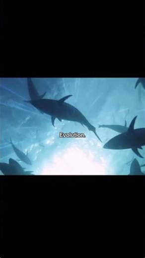 Evolution explained, Biology, humans on top of food chain