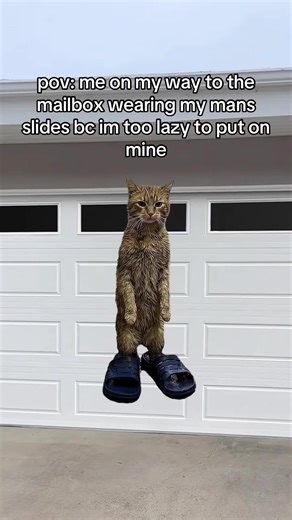 Lazy Mailbox Run in Slides: A Hilarious POV