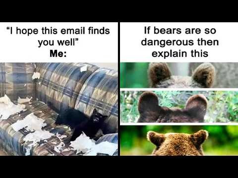 Funny Animal Memes That Are Too Cute to Handle 😂🐾 | HahaHub
