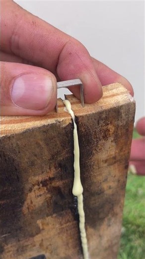 Fix wood with a simple clamp Quick trick that saves any piece. #USADIY #WoodClamp #QuickFix