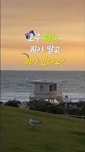 쿼카만 보고 오기 아쉬운 퍼스 여행지 8곳 🇦🇺 #퍼스여행 #세계여행 #호주여행