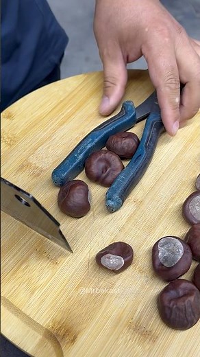 🔥 The Genius Chestnut Hack You’ll Wish You Knew Sooner!