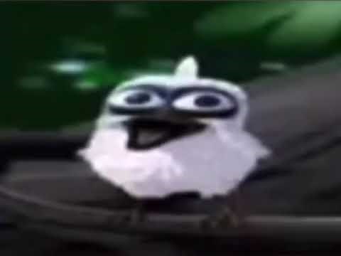 Bird Screaming Meme