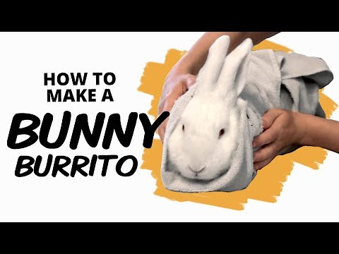 How to Burrito a Rabbit