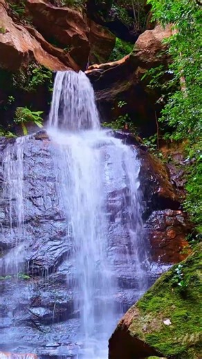 Pure Nature: Empress Falls Ambience (4K UHD)