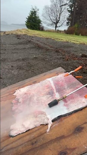 A little hide-fleshing ASMR, courtesy of Heather Douville. #fueledbynature